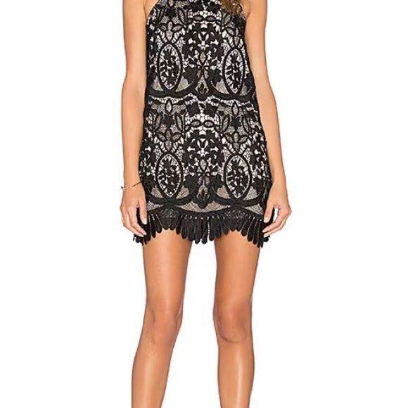 Lovers & Friends Black Lace Caspian Shift Dress - Picture 8 of 8